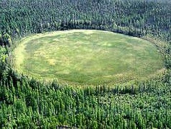 unexplained-circle-in-hoia-baciu-haunted-forest-589869.jpg