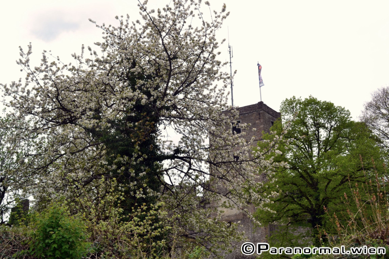 Ghosthuntertreffen 2015 - Impressionen 068