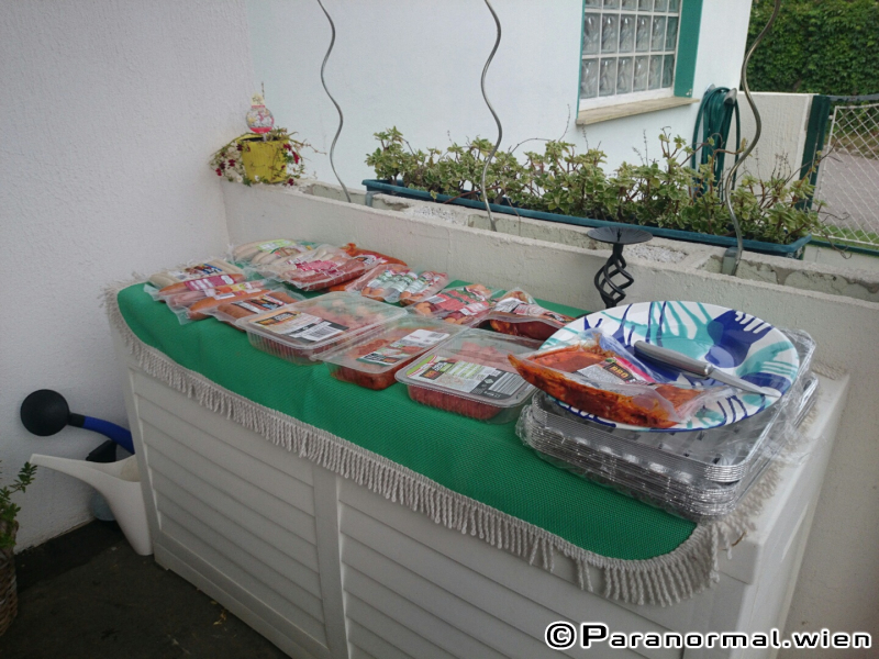 mitgliedertreffen 20150820 01