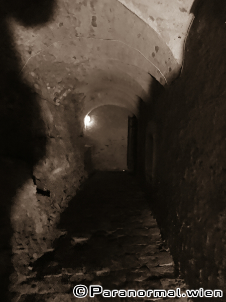 greillenstein michi 03