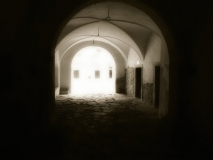 greillenstein michi 05