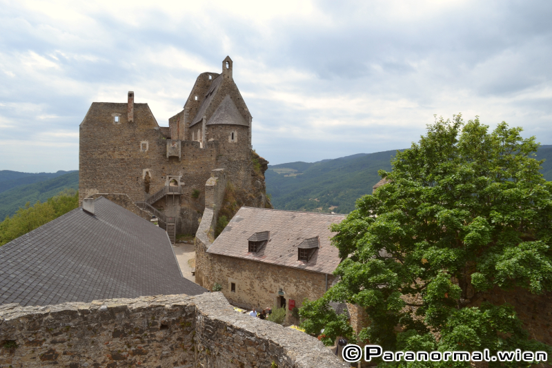 Burgruine Aggstein - 106