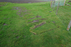 Windhouse Michael 008